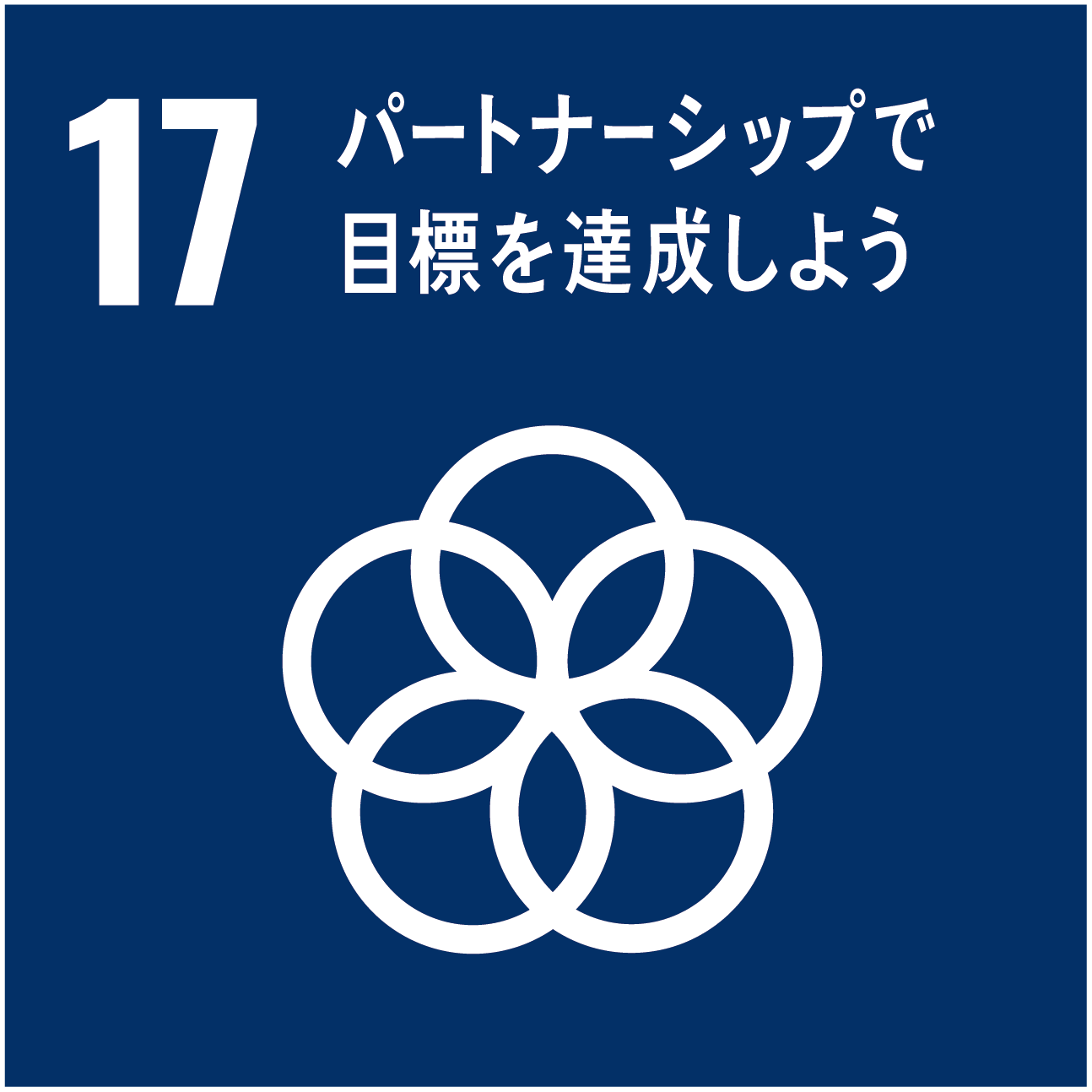 sdgs17